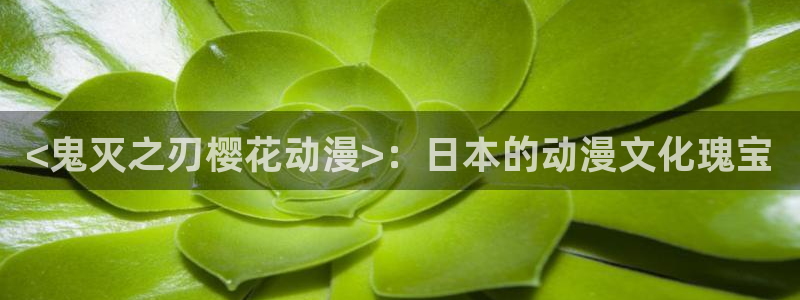 成人里番漫画在线观看：<鬼灭之刃樱花动漫>：日本的动漫文化瑰宝