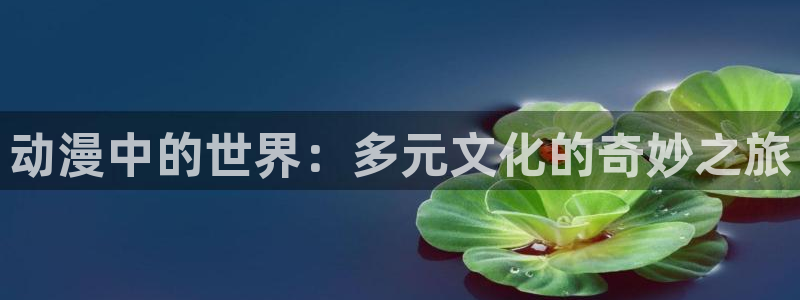 里番新番：动漫中的世界：多元文化的奇妙之旅