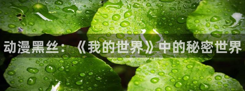 日本里番漫画：动漫黑丝：《我的世界》中的秘密世界