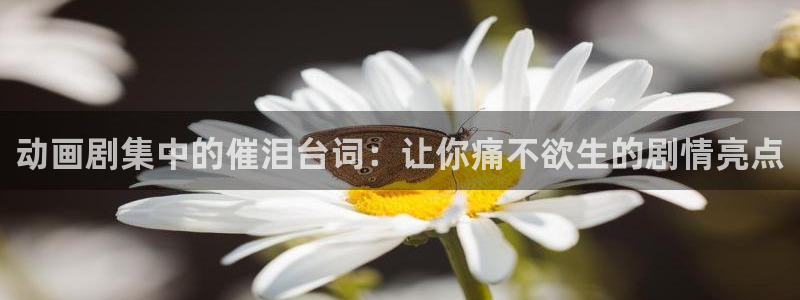 动漫里番剧大全：动画剧集中的催泪台词：让你痛不欲生的剧情亮点