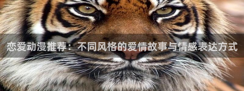 里番动漫免费下载：恋爱动漫推荐：不同风格的爱情故事与情感表达方式
