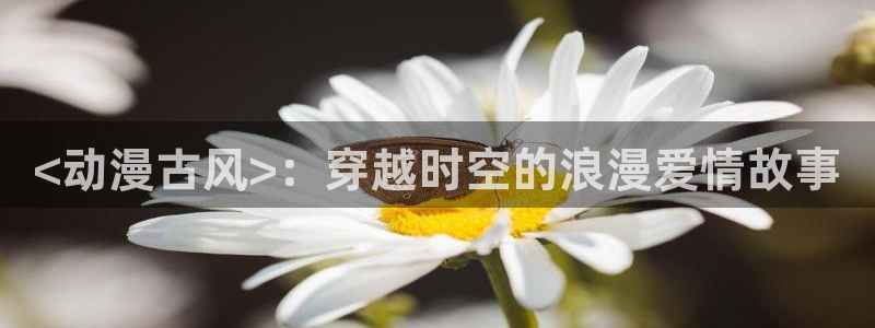 里番在线观看动漫：<动漫古风>：穿越时空的浪漫爱情故事