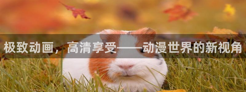 里番h动漫在线观看：极致动画，高清享受——动漫世界的新视角