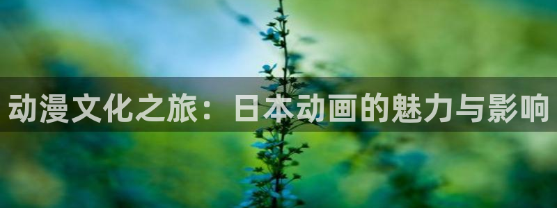 里番动漫高清：动漫文化之旅：日本动画的魅力与影响