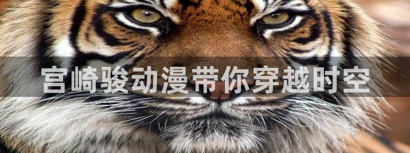 免费动漫里番：宫崎骏动漫带你穿越时空