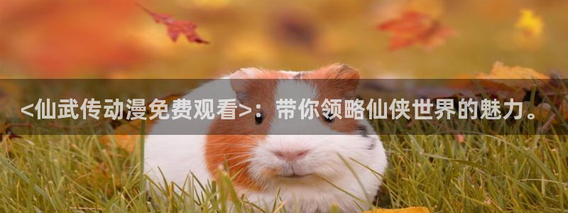 漫画大全里番：<仙武传动漫免费观看>：带你领略仙侠世界的魅力。