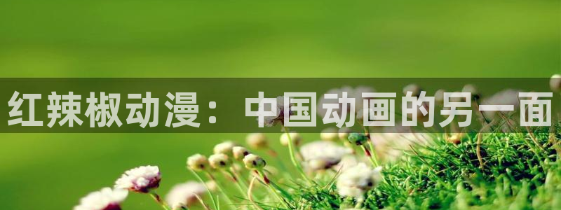 风车动漫里番动漫：红辣椒动漫：中国动画的另一面
