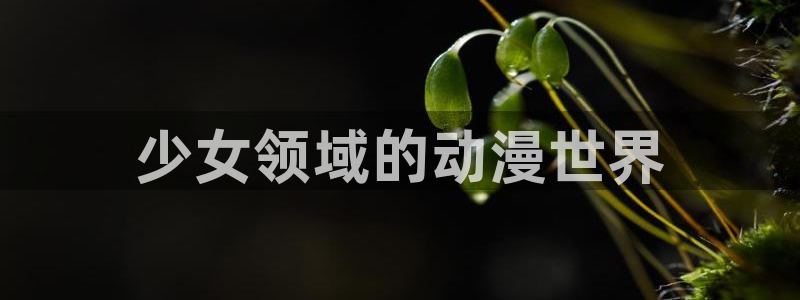 动漫里番资源：少女领域的动漫世界