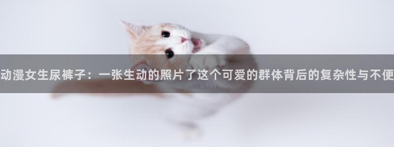 里番动漫排名