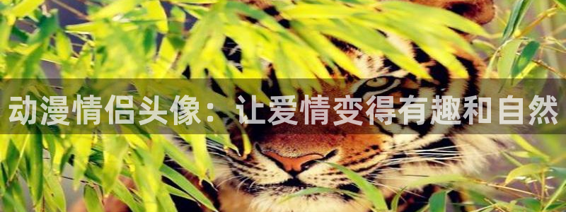 成人动漫里番在线