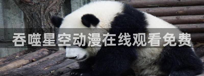 里番动漫盘点