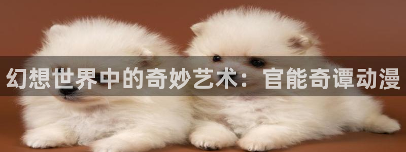 里番成人动漫在线观看