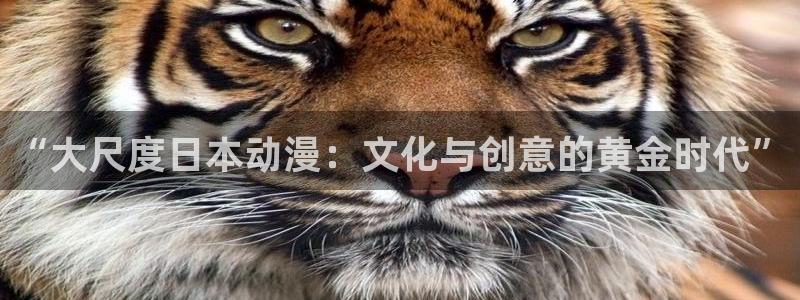 动漫里番免费观看