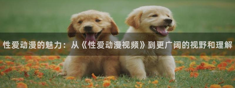 《里番动漫