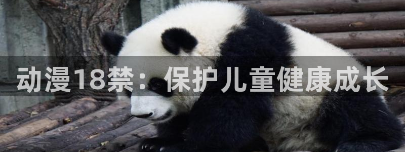 动漫里番网页