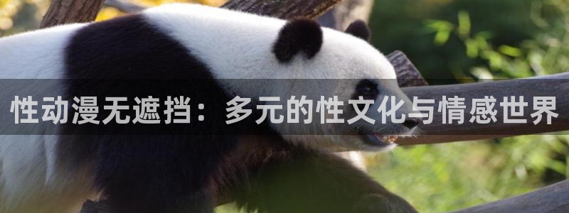 动漫里番工口