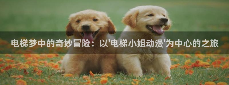 动漫新里番