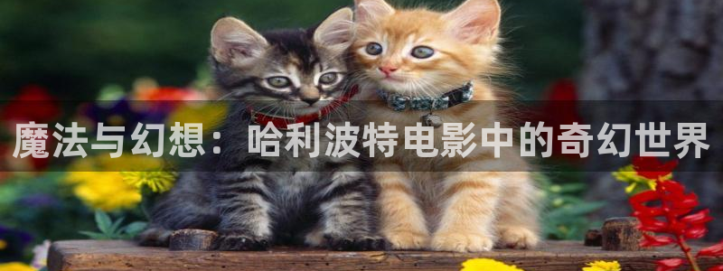 日漫里番漫画：魔法与幻想：哈利波特电影中的奇幻世界