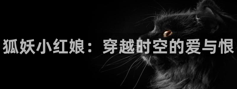 里番动漫大佬：狐妖小红娘：穿越时空的爱与恨