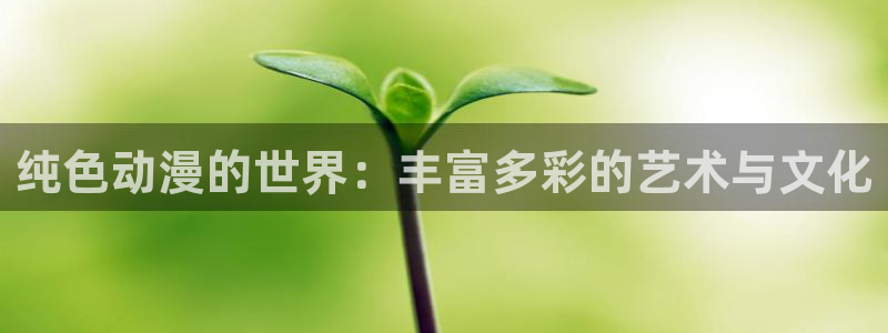 推荐里番：纯色动漫的世界：丰富多彩的艺术与文化