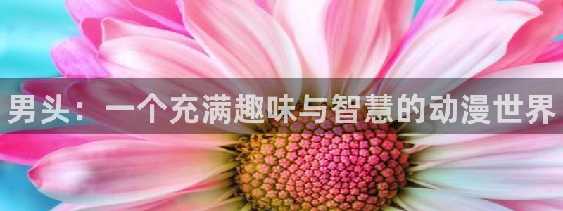 里番肉动漫：男头：一个充满趣味与智慧的动漫世界